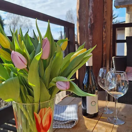 Mediterran Rezidencia Jobbfelso Apartment Zamardi